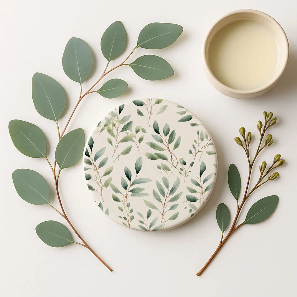 Eucalyptus Gia Roma Eucalyptus Gia Roma