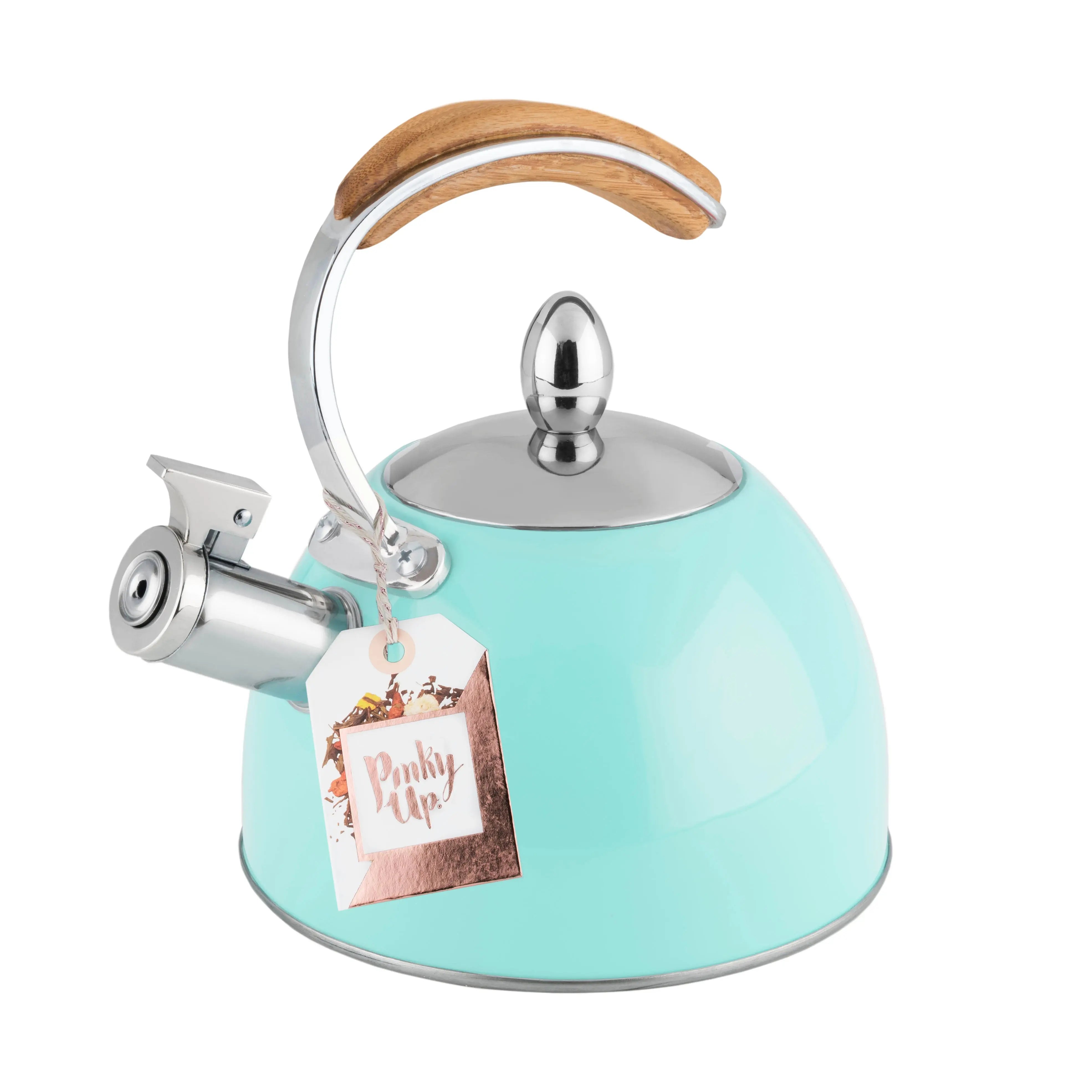 Turquoise kettle with wooden handle on a white background