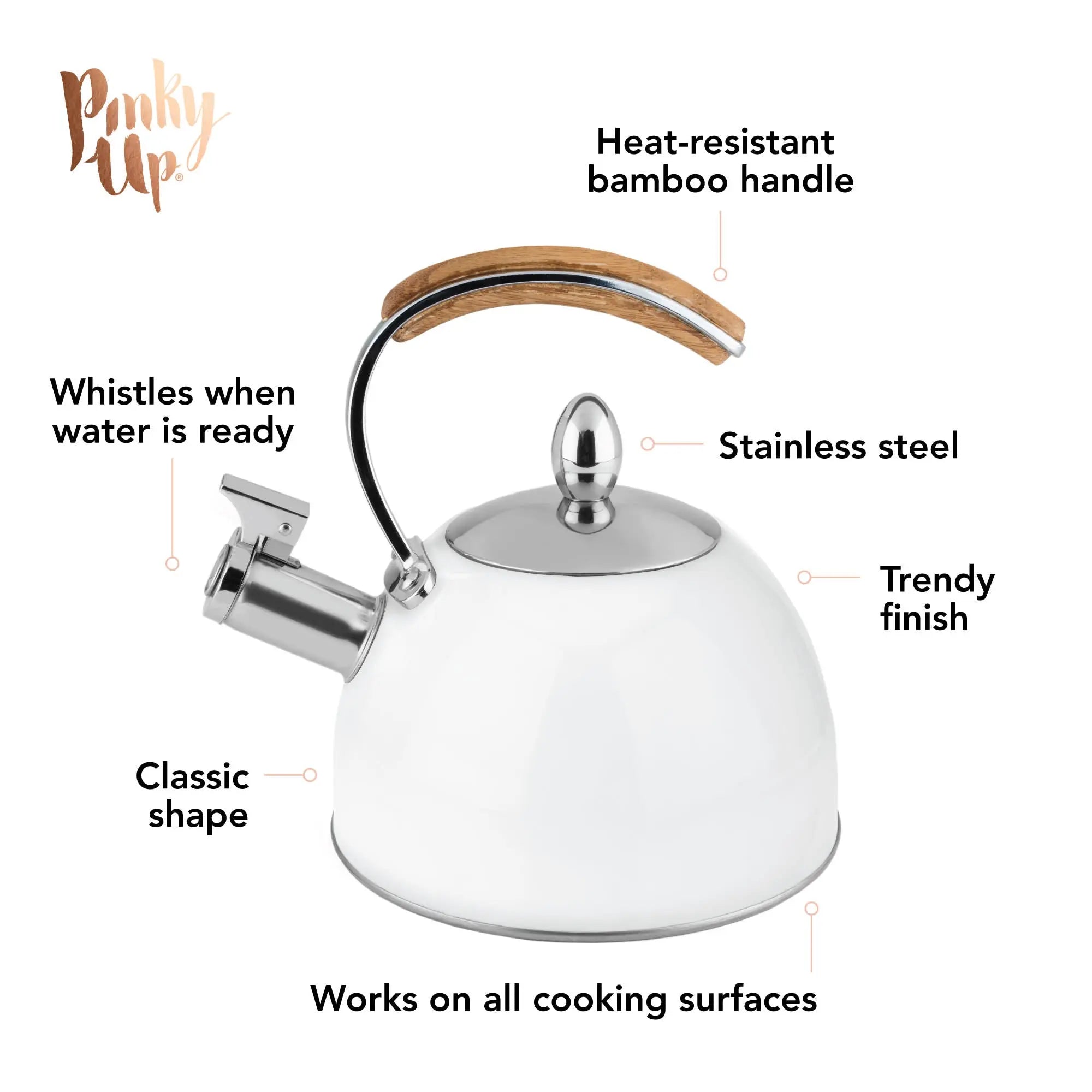 White kettle with features highlighted on a white background